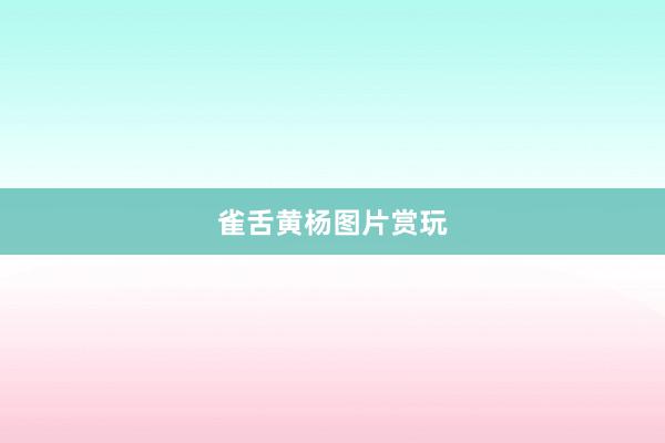 雀舌黄杨图片赏玩