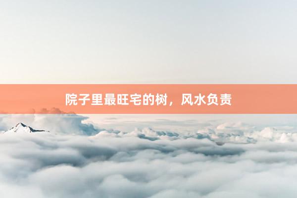 院子里最旺宅的树，风水负责