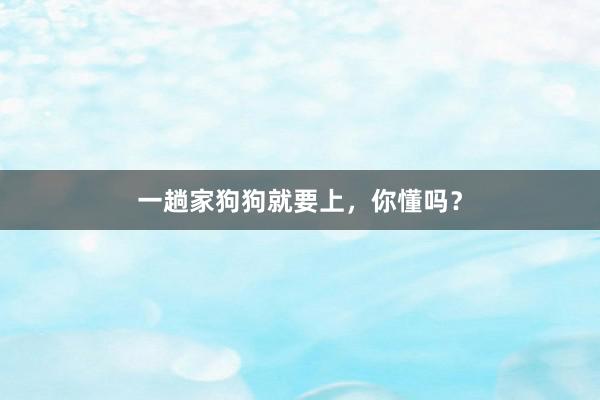 一趟家狗狗就要上，你懂吗？